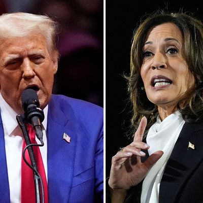 Wahlkampf in den USA - Trump - Harris