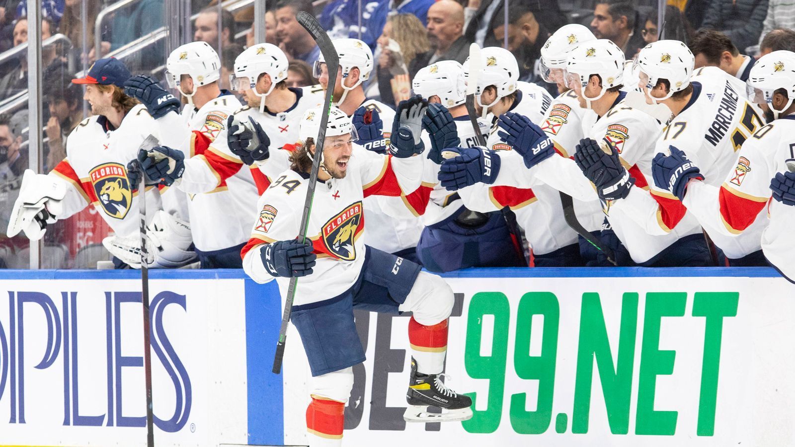 
                <strong>Florida Panthers</strong><br>
                Ein Gute-Laune-Hit: Bei den Panthers wird "Sweetness" von Jimmy Eat World aufgelegt.
              