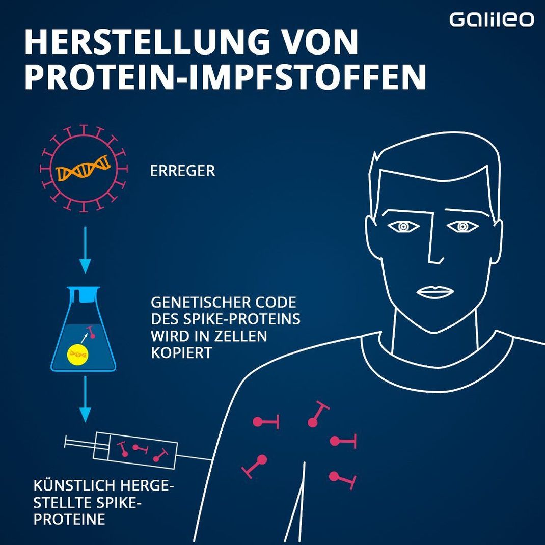 So wird ein Protein-Impfstoff aus dem ursprünglichen Erreger hergestellt.