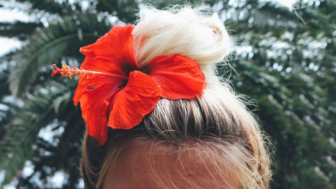 Bester Hairstyle für heiße Sommertage: Der Dutt! Wer kennt die Handgriffe zum Nachstylen?