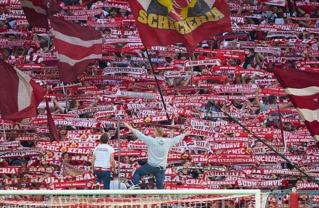So viel Wert legen Fußballfans auf Nachhaltigkeit