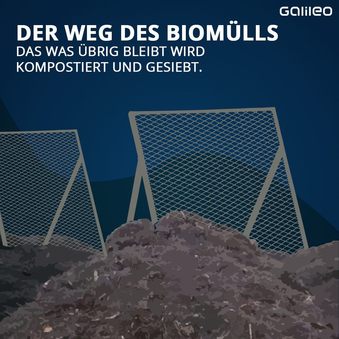 Der Weg von Biomüll. Was passiert damit