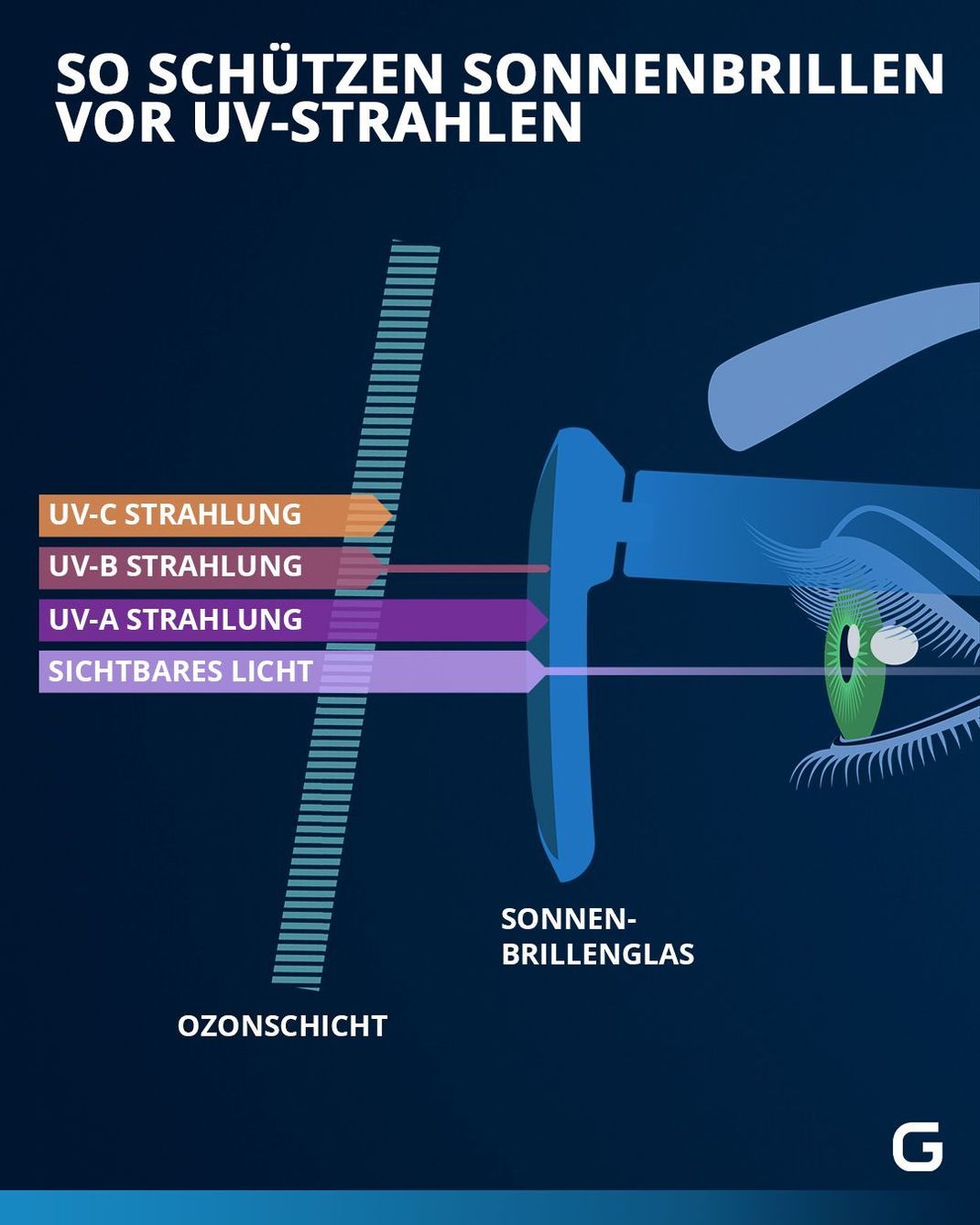 Sonnenbrillen schützen unser Auge vor UV-B- und UV-A-Strahlung.