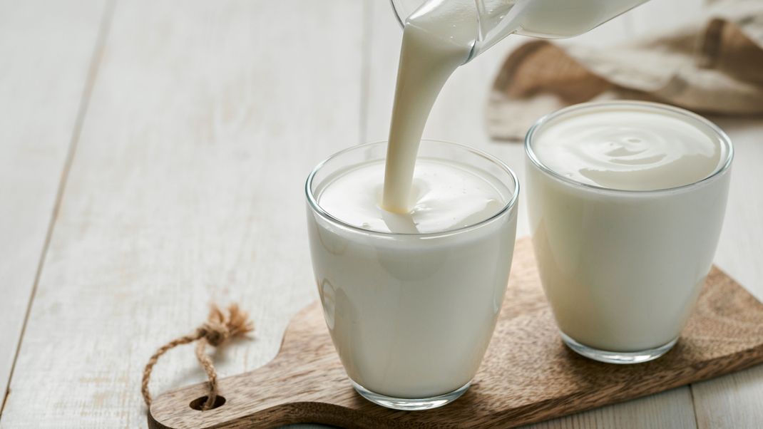 Kefir ist nicht nur lecker, sondern auch gesund: Die Bakterienkolonien in dem Sauermilchgetränk sorgen außerdem dafür, dass sich schädliche Bakterien im Körper nicht vermehren können.