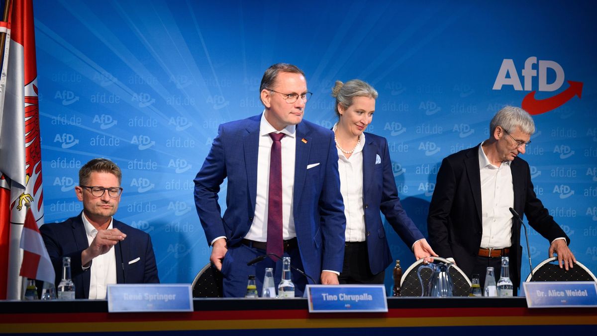Nach der Landtagswahl in Brandenburg - AfD