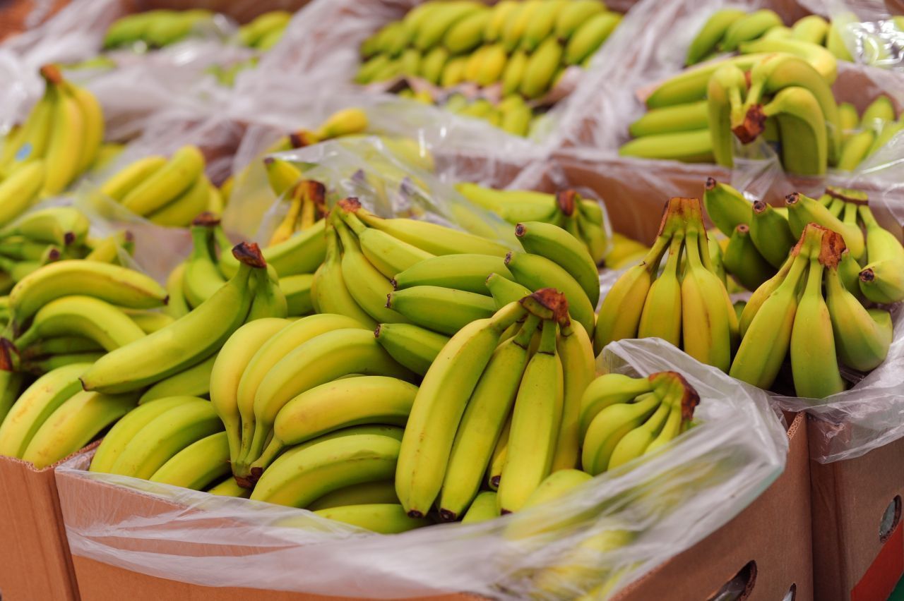 Da sich die Brasilianische Wanderspinne oft in Bananenstauden versteckt, wird sie auch Bananenspinne genannt. In Bananenkisten gelangt sie auch manchmal in deutsche Supermärkte.