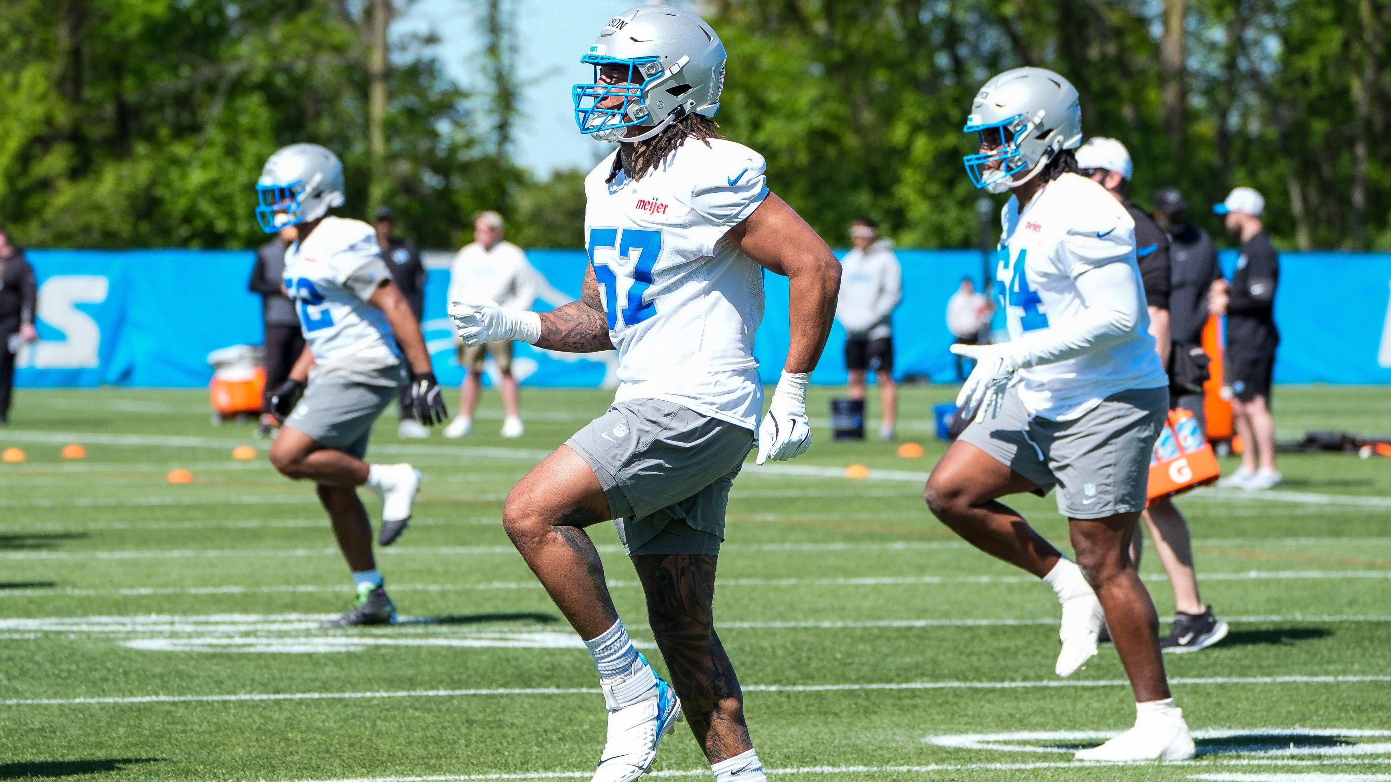 <strong>Detroit Lions (8 Prozent)</strong>