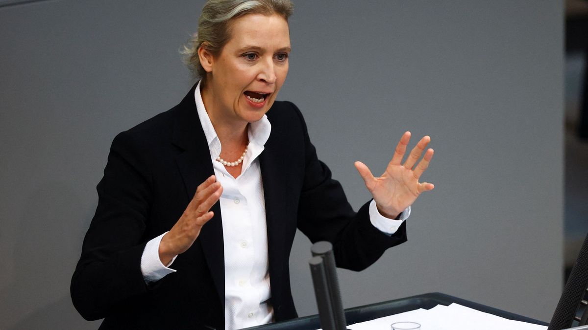 Alice Weidel