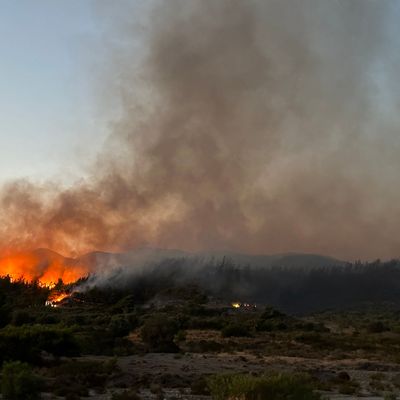 Waldbrände auf Rhodos