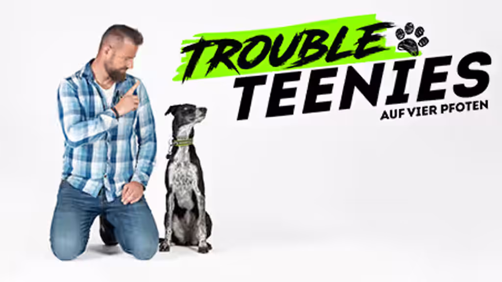 Trouble Teenies auf vier Pfoten
