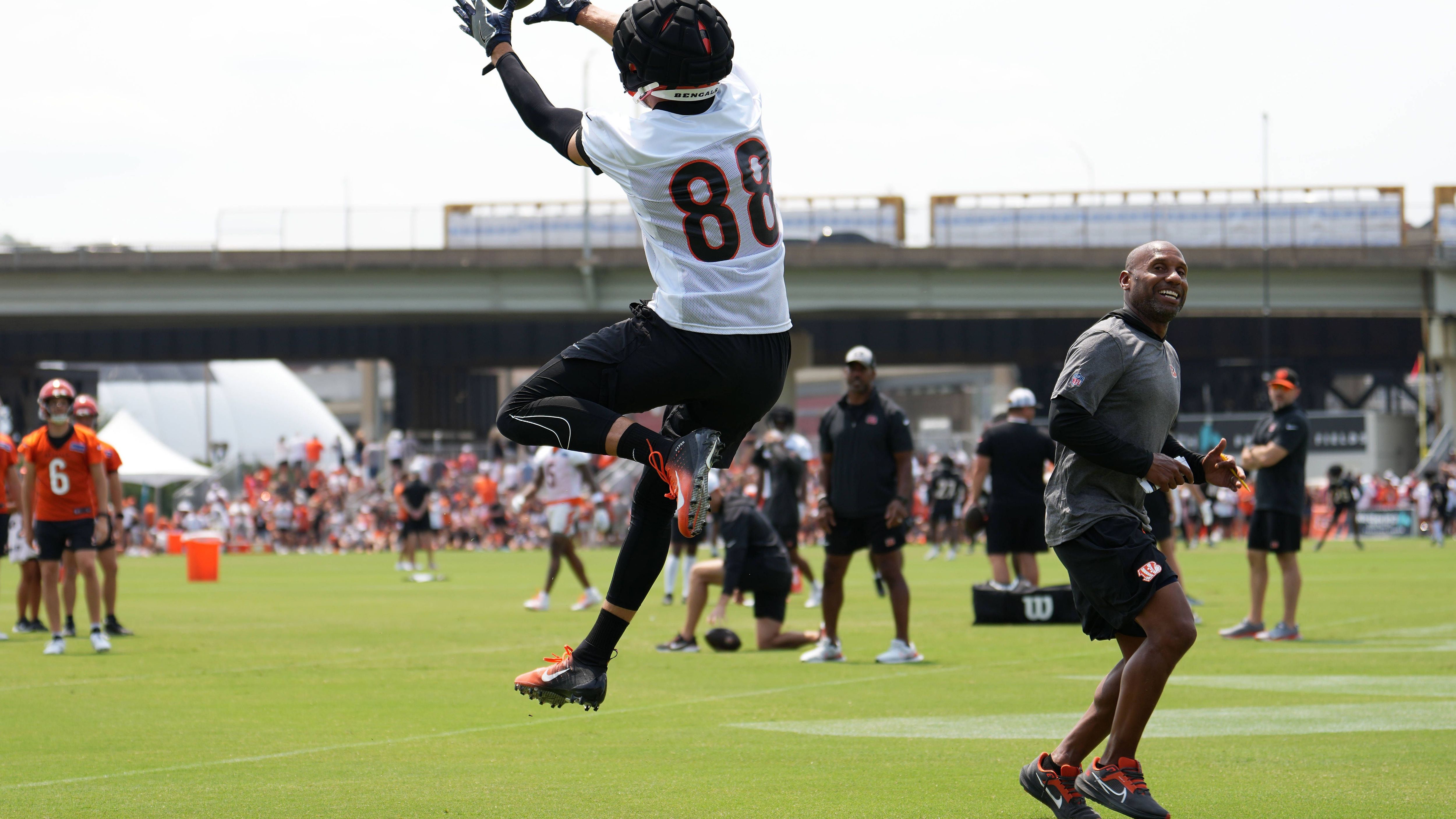 <strong>Platz 20: Mike Gesicki (Cincinnati Bengals)</strong><br>- Rating: 78