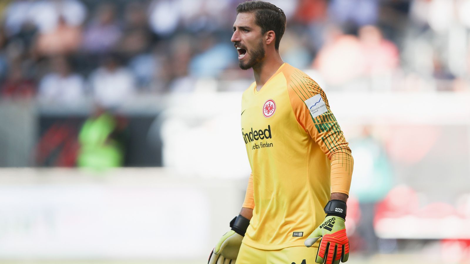 
                <strong>Kevin Trapp (Eintracht Frankfurt)</strong><br>
                Paraden in der Saison 2018/19: 25Saison-Einsätze: 9
              