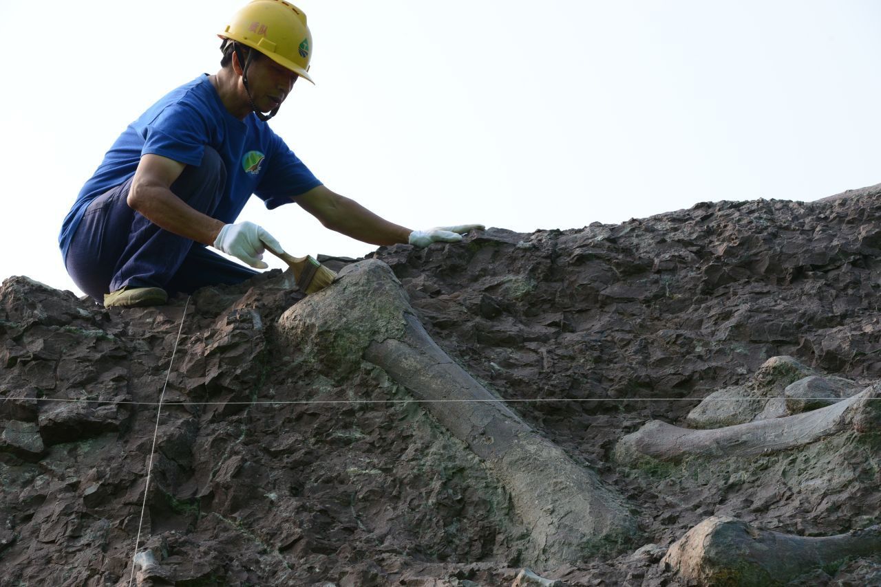Decken Sedimente gestorbene Tiere sanft zu, können Paläontolog:innen sie Millionen Jahre später wie hier 2017 in China ausgraben. Geraten sie zu tief, werden sie vom Gesteinsdruck zermahlen.