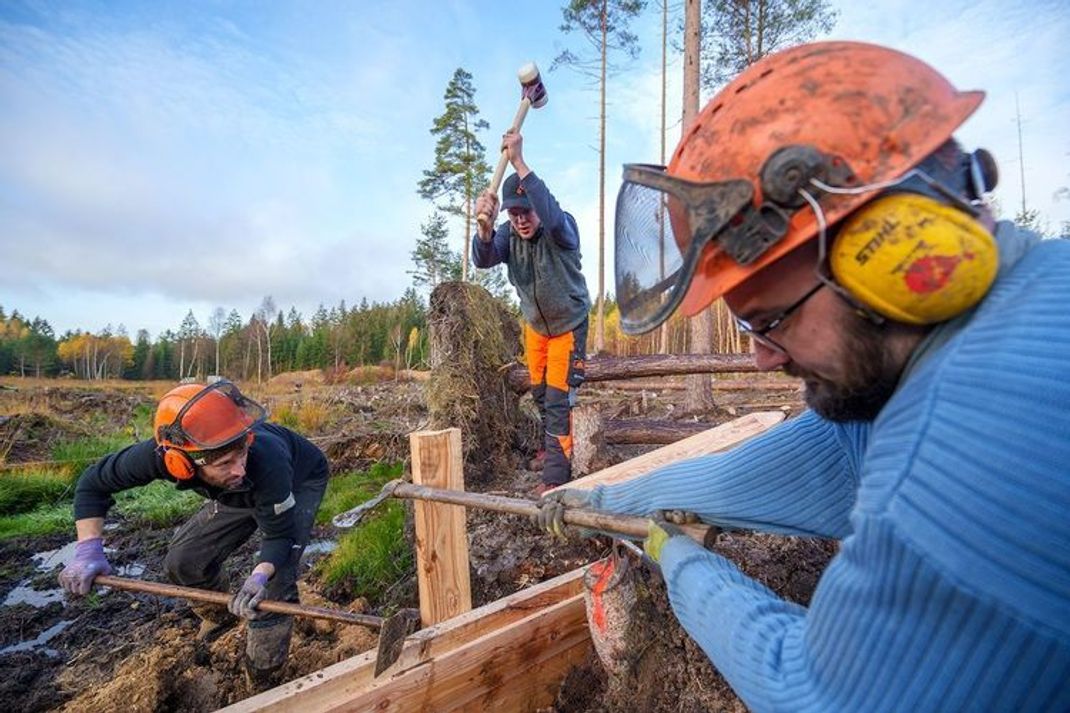 Zeichen für den Umweltschutz: Mit dem Bergwaldprojekt aktiv helfen