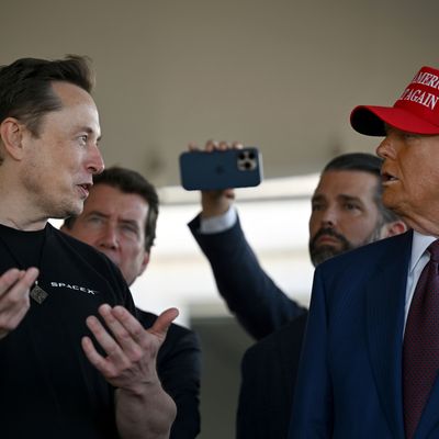 Definitiv eine spannende Personalie: Der reichste Mann der Welt, Tech-Milliardär Elon Musk, soll einen Posten im Regierungsteam von Donald Trump, dem bald wieder mächtigsten Mann der Welt, erhalten.