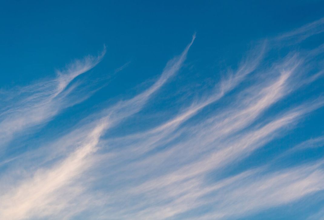 Cirruswolken werden wegen ihres faserigen, luftigen Aussehens auch "Federwolken" genannt. Um das Wetter zu bestimmen, kannst du dich mit dem Rücken zum Wind stellen. Kreuzen sie die Zugrichtung von tieferen Wolken von links nach rechts, wird das Wetter schlechter. Treiben sie in umgekehrte Richtung von rechts nach links, wird es besser.