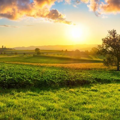 Peaceful rural scenery at sunrise