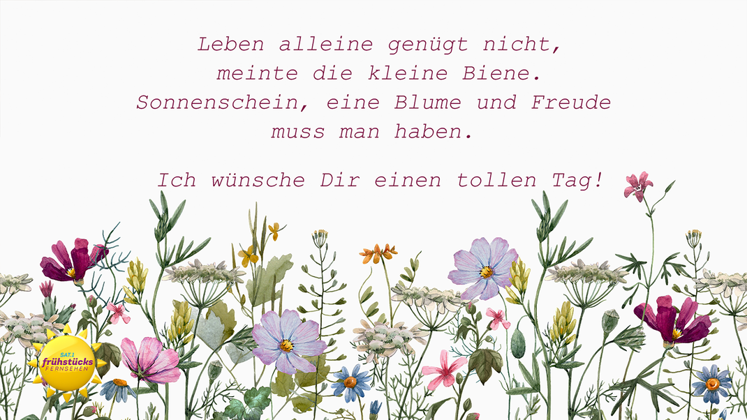 10 für WhatsApp versende pure Freude