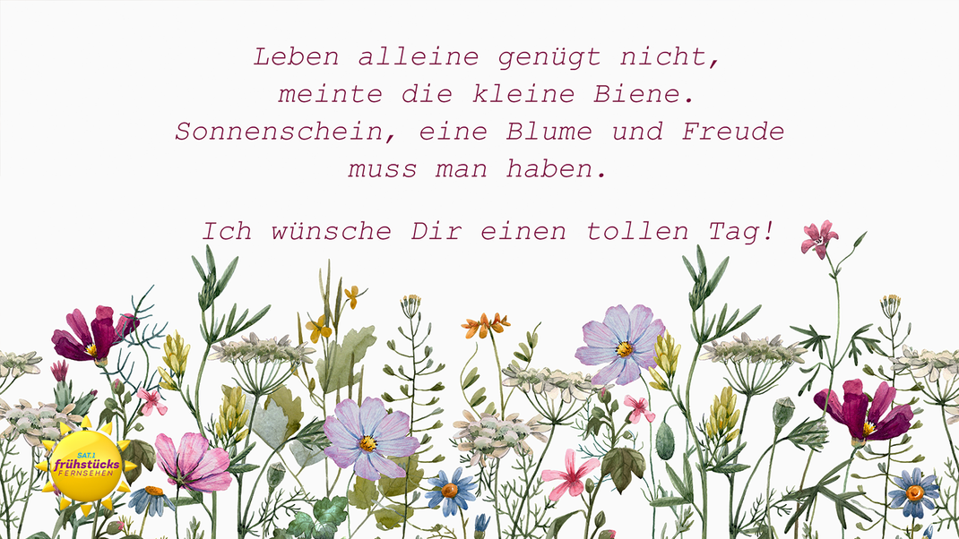 Was gibt es denn besseres als frische Blumen auf dem Frühstückstisch? Ein WhatsApp-Gruß mit Blumen kommt nah ran.