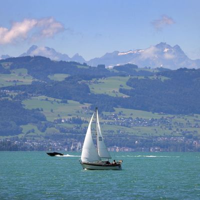 Bodensee bei Bregenz mit Blick auf Appenzell und Säntis