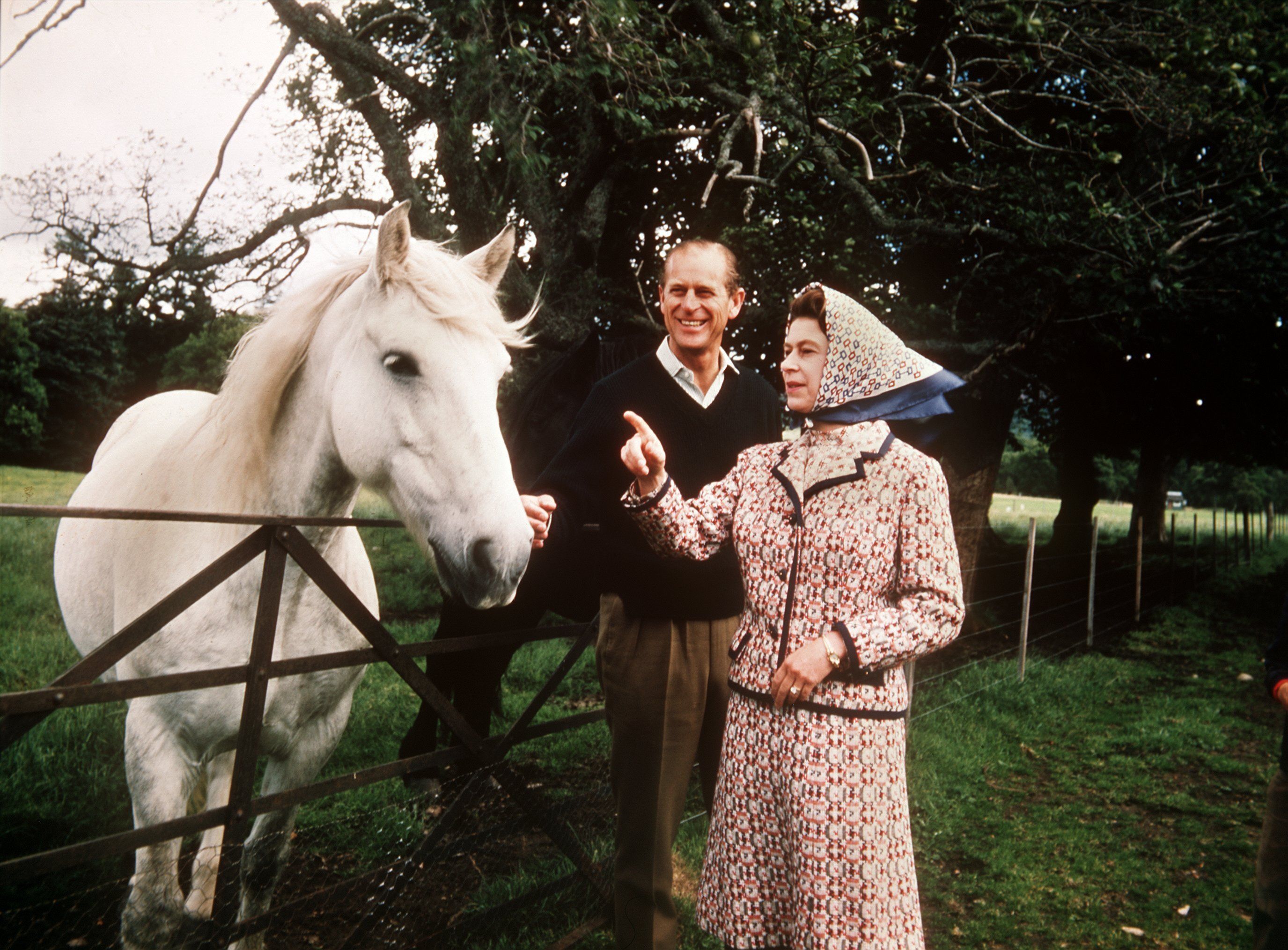 Queen Elizabeth in ihrem Element. In der Nähe von Pferden und Hunden fühlte sie sich am wohlsten.