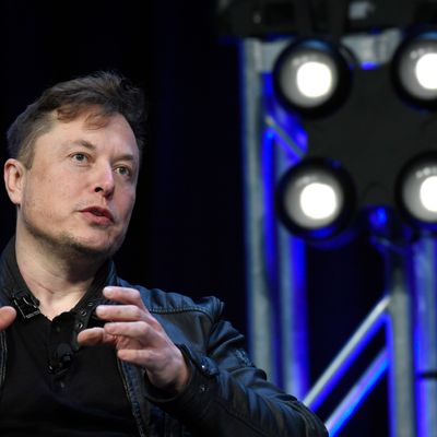 Elon Musk vor Gericht