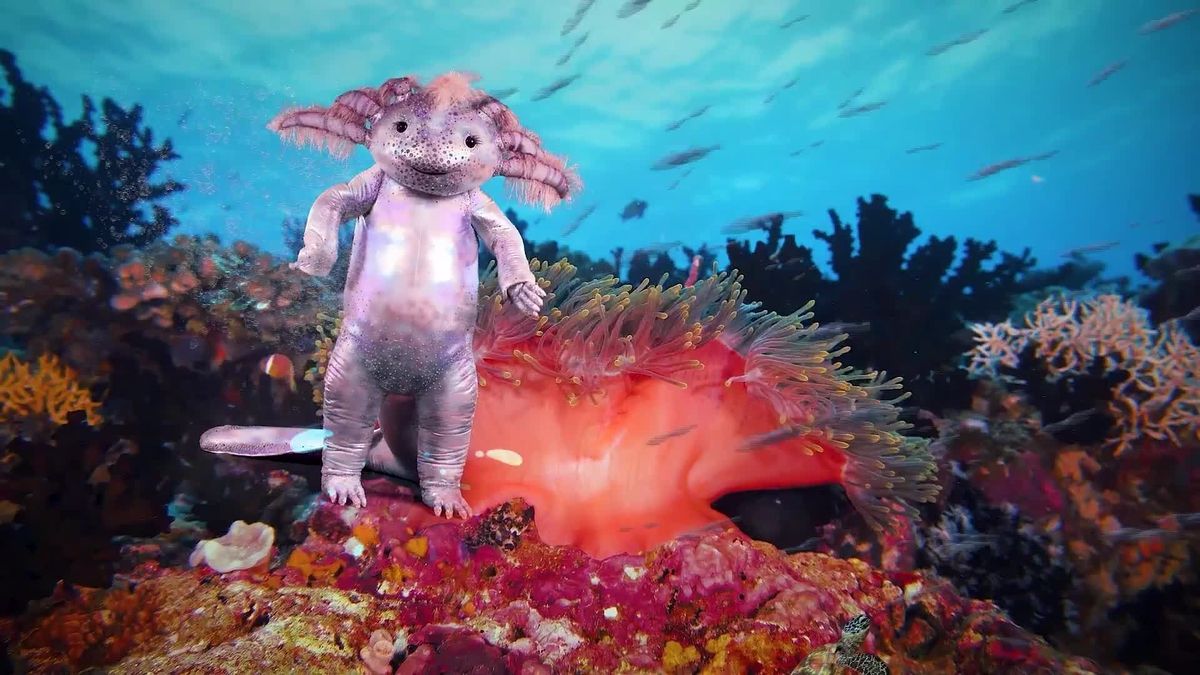 Exklusiv: Ein neues Indiz zur Identität des Axolotls