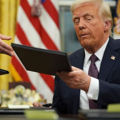 US-Präsident Donald Trump will das Recht auf Staatsangehörigkeit durch Geburt abschaffen.
