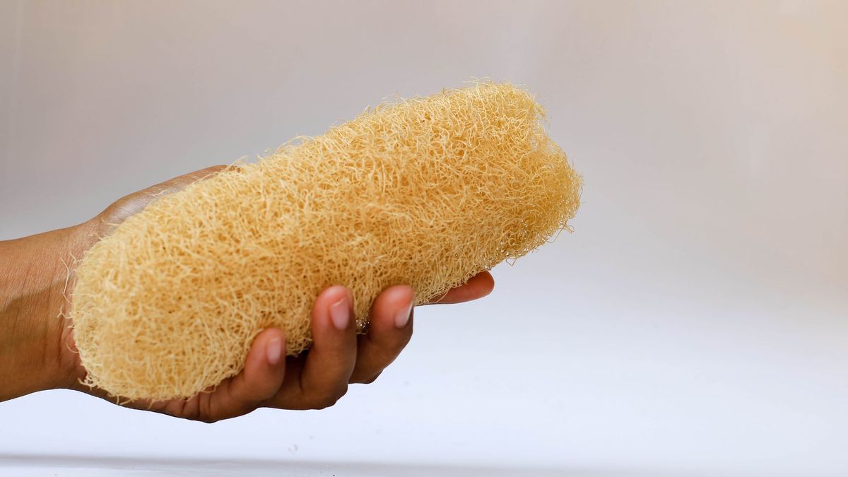 Hand hält Umweltfreundliche Luffa-Schwämme,