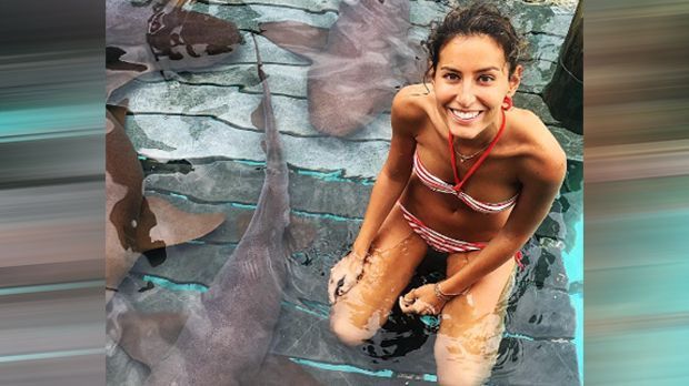 
                <strong>Ana Boyer</strong><br>
                Ganz schön mutig: Ana Boyer schwimmt hier mit Haien und hat noch die Ruhe ganz entspannt in die Kamera zu lächeln.
              