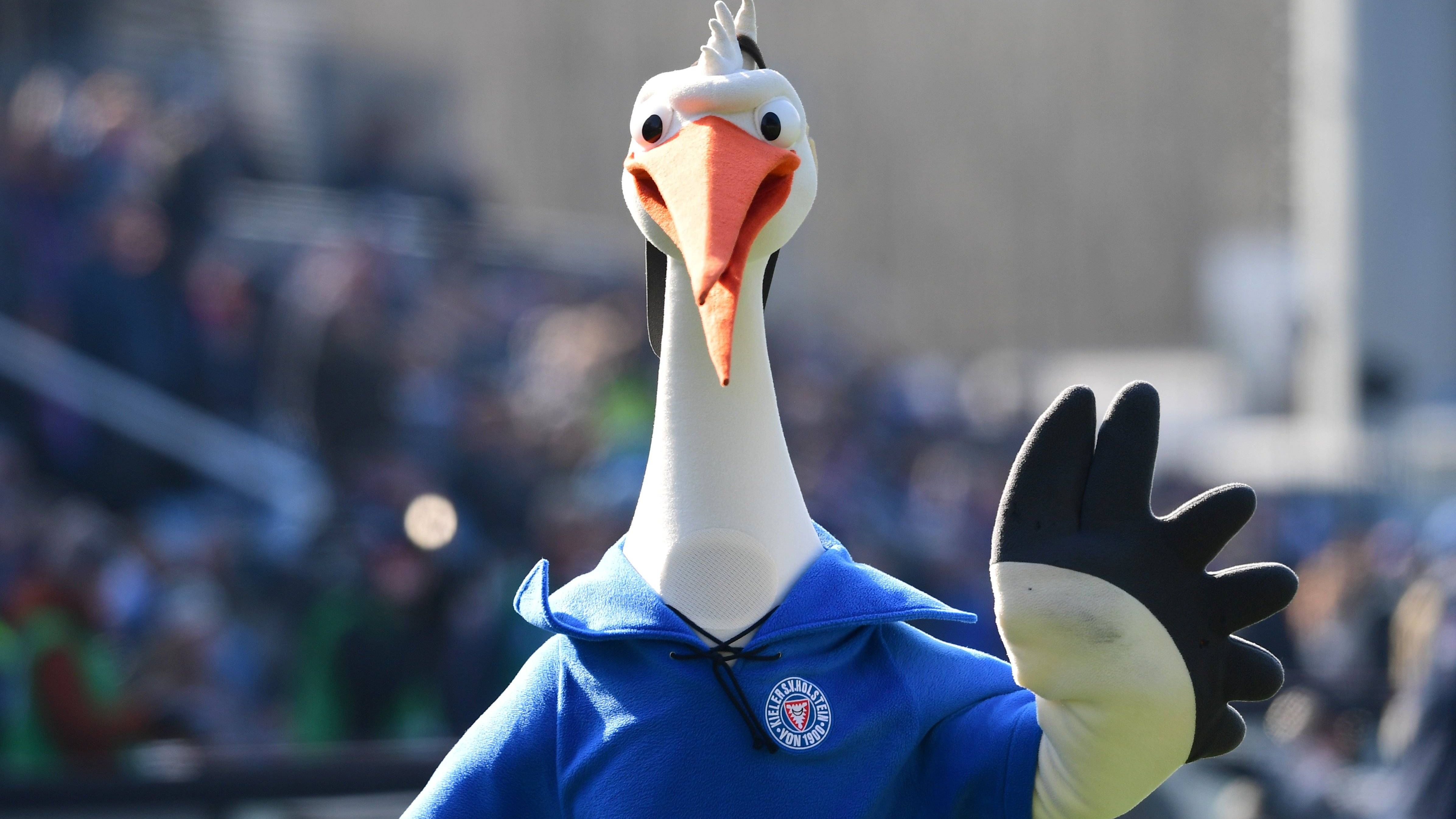 <strong>Holstein Kiel:</strong> <strong>Stolle</strong><br>Das Maskottchen der Störche ist natürlich ein Storch. Am liebsten isst er Frösche und die Gegner.