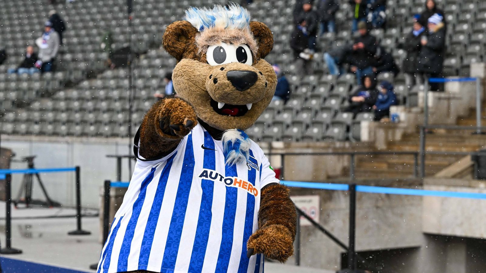 
                <strong>Platz 5 - Herthinho (Hertha BSC)</strong><br>
                &#x2022; 4,71 Sterne<br>
              