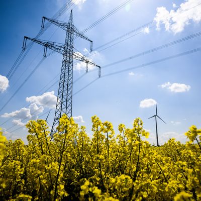 Niedersachsen, Hohenhameln: Windräder und eine Hochspannungsleitung stehen hinter einem Rapsfeld im Landkreis Peine.