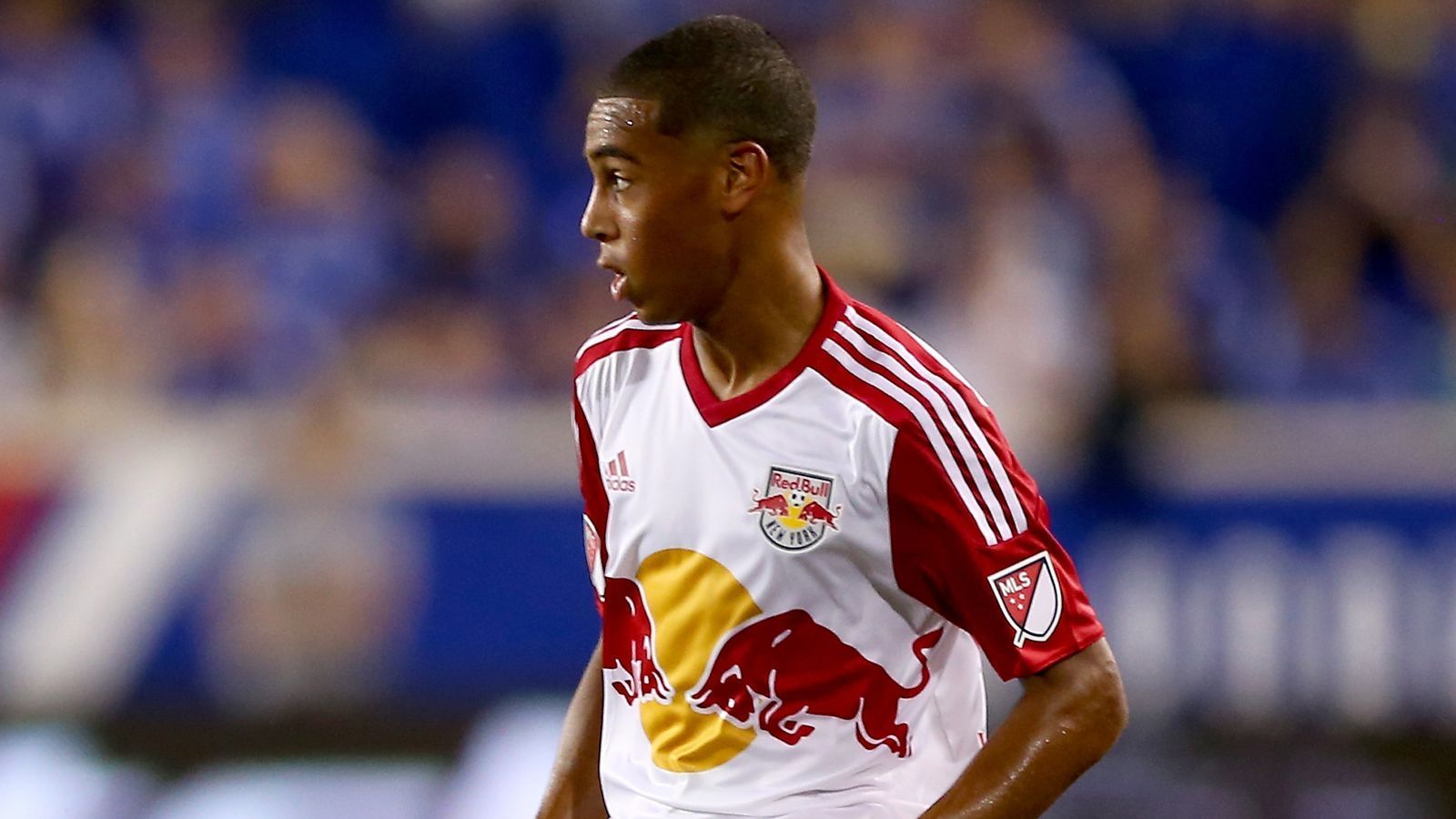 
                <strong>Tyler Adams (New York Red Bulls)</strong><br>
                Ein Winter-Neuzugang steht bereits fest und der kommt rein zufällig von einem weiteren RB-Klub: Tyler Adams wechselt von den New York Red Bulls nach Leipzig. Der 19-jährige Amerikaner lief 74 Mal für den Klub aus dem "Big Apple" auf und gab bereits im letzten Jahr sein Debüt in der amerikanischen Nationalmannschaft. Der Mittelfeldspieler gilt in seiner Heimat als großes Talent, ist aber wohl eher ein Mann für die Zukunft. Adams hat einen langfristigen Vertrag bis 2023 unterschrieben.
              