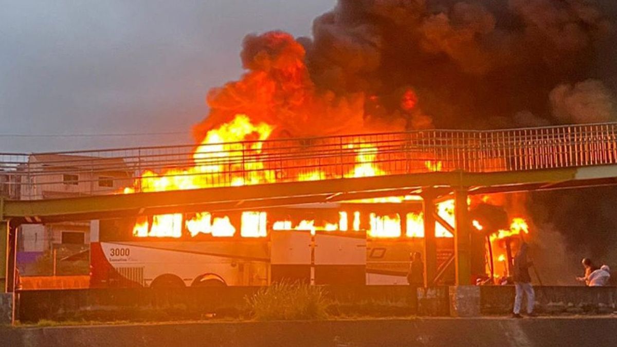 Fanbus Brasilien Palmeiras Cruzeiro Brand