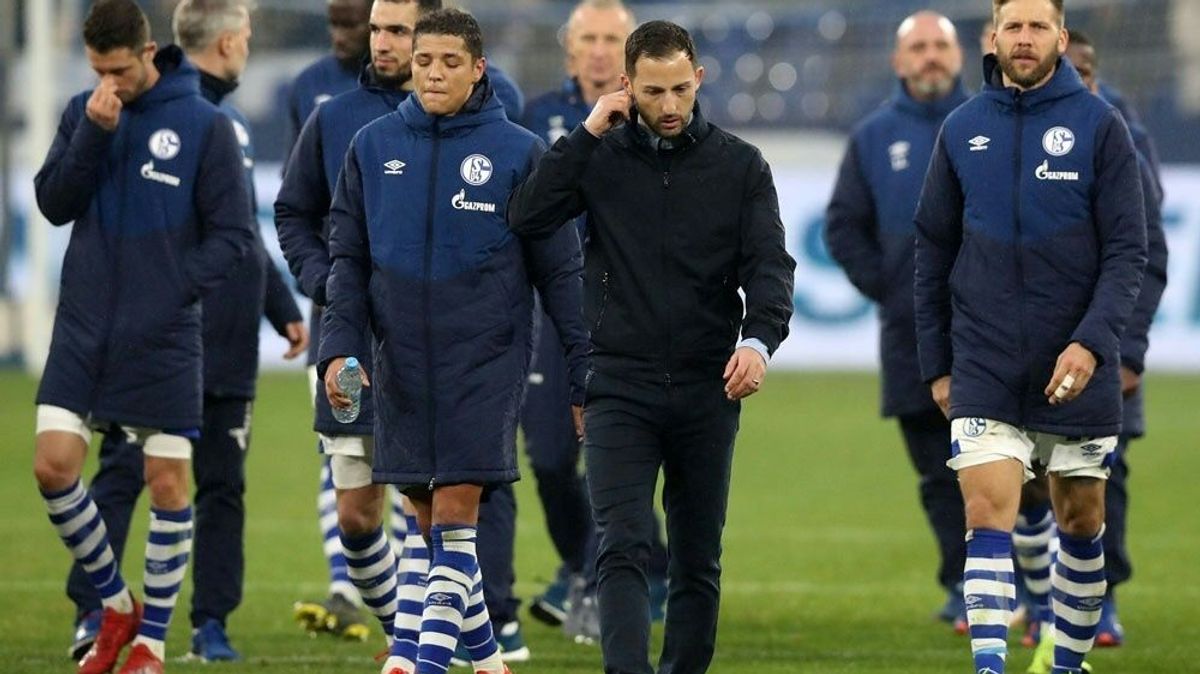 Schalke 04: Trainer Domenico Tedesco will weitermachen