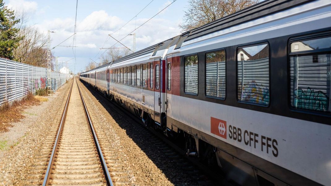 Ein Zug nach Zürich wurde durch einen Baumsturz angehalten.