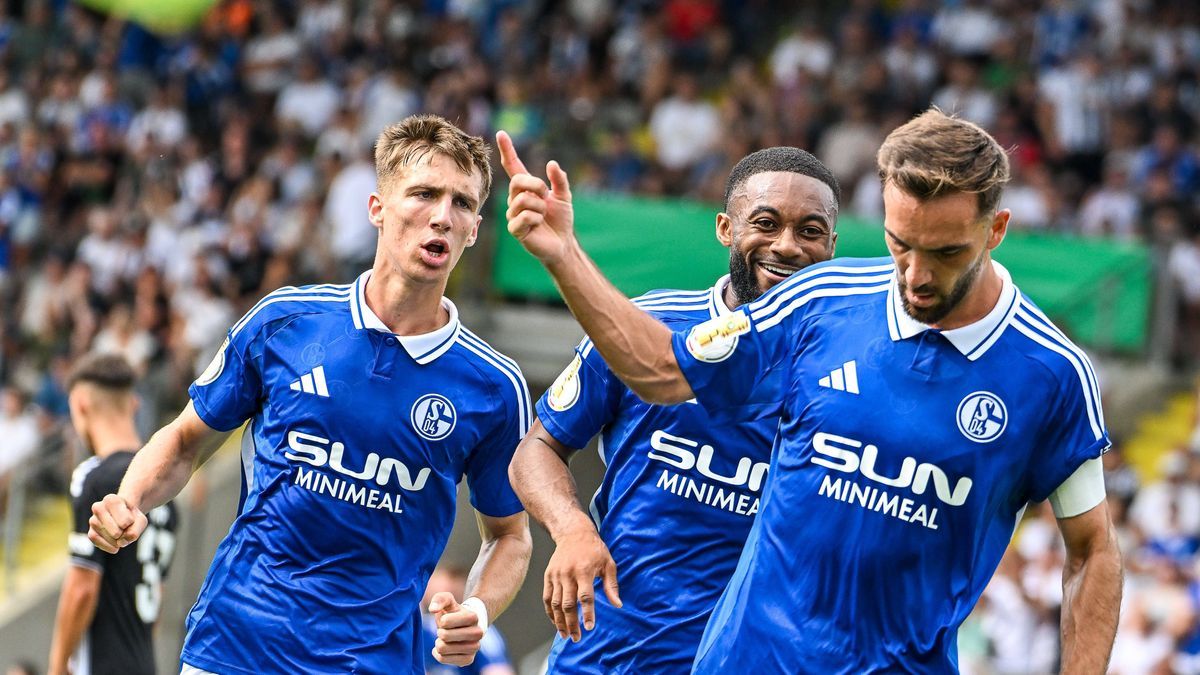 GER, DFB Pokal, VfR Aalen vs FC Schalke 04 17.08.2024, CENTUS Arena, Aalen, GER, DFB Pokal, VfR Aalen vs FC Schalke 04, im Bild Torjubel nach Tor zum 0:1, Felipe Sanchez (Schalke, 2), Moussa Sylla ...