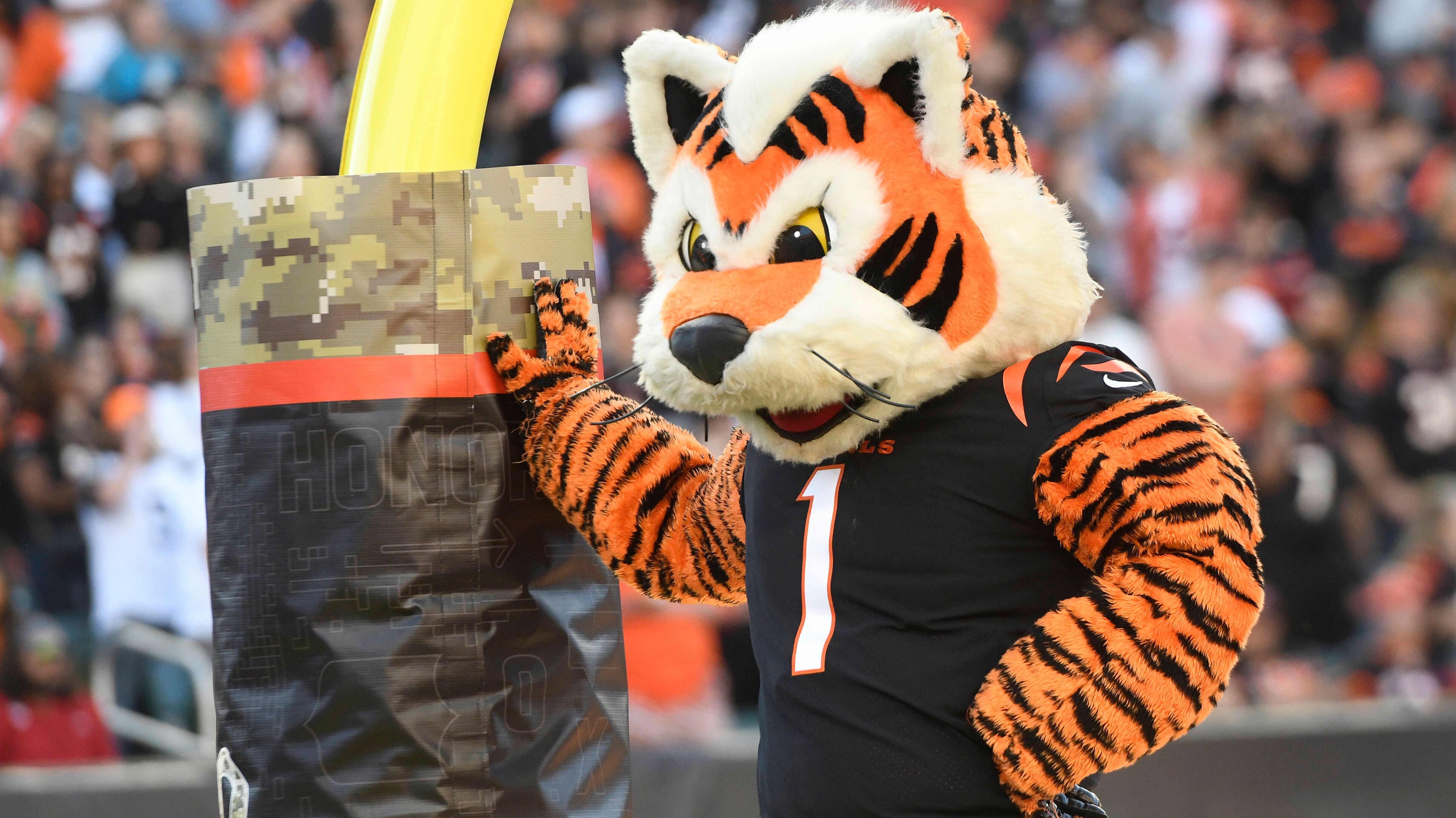 <strong>Hangover</strong><br>Die Cincinnati Bengals erreichen den Super Bowl. Die Freude wird getrübt, weil ihr Maskottchen "Who Dey", ein bengalischer Tiger, plötzlich spurlos verschwindet. "Who Dey" wird erst Tage später in einem verwüsteten Hotelzimmer mit einer Gruppe betrunkener Männer wiedergefunden, ausgehungert und verstört, aber wohlauf.