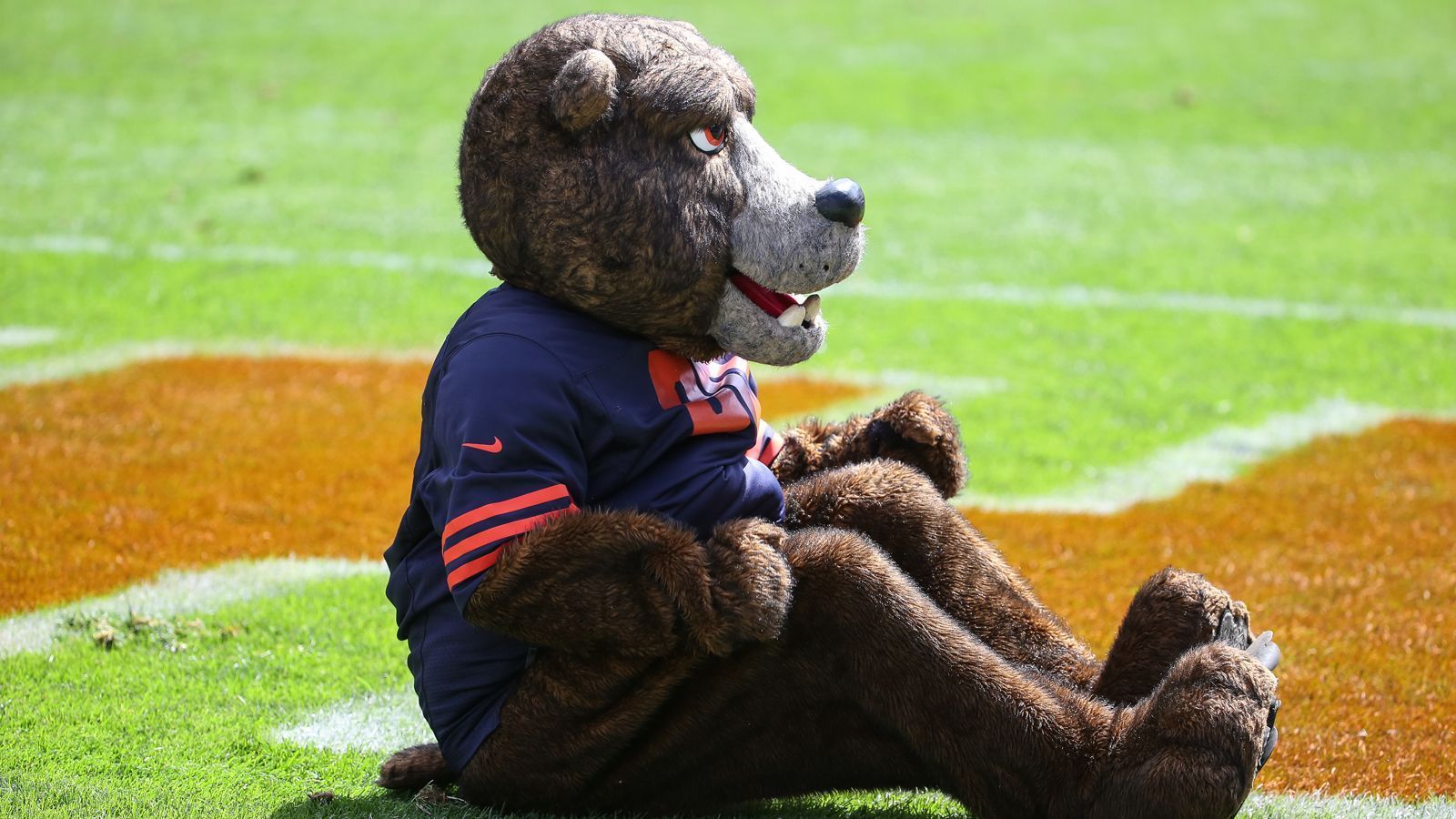 
                <strong>Chicago Bears: Staley Da Bear</strong><br>
                Natürlich ist das Maskottchen in Chicago ein Bär. Er hört auf den schönen Namen Staley. Damit wird A.E. Staley gewürdigt, der die Bears 1919 gegründet hatte. Nach eigenen Angaben gibt Staley Da Bear pro Woche rund 200 Dollar für Lachs aus. Leute, die Lachsersatz kaufen, kann Staley überhaupt nicht leiden.
              