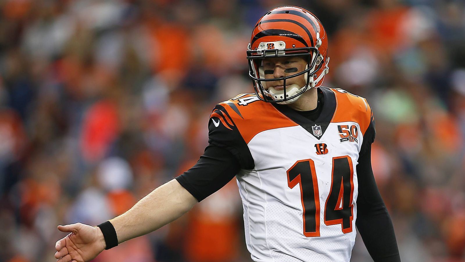 
                <strong>Denver Broncos</strong><br>
                Hier ist Drew Lock der Mann für die kommenden Jahre, er hat den Job 2019 bekommen und ihm wird auch 2020 das Vertrauen geschenkt. Dalton wäre hier ein starker Backup, der sofort einspringen kann.
              