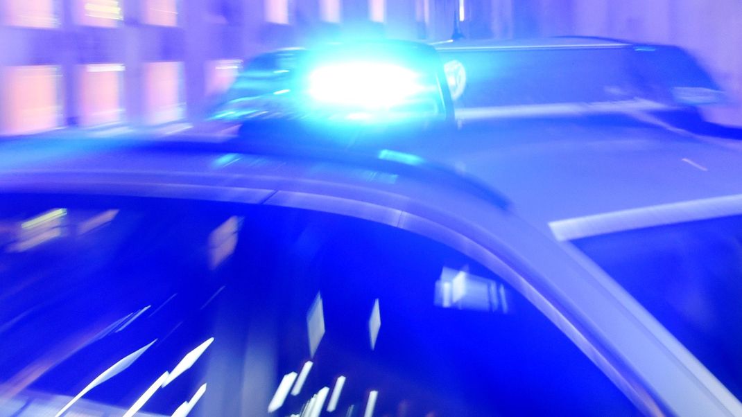 Hund reißt sich nach Böllerknall los, läuft auf Autobahn und wird überfahren