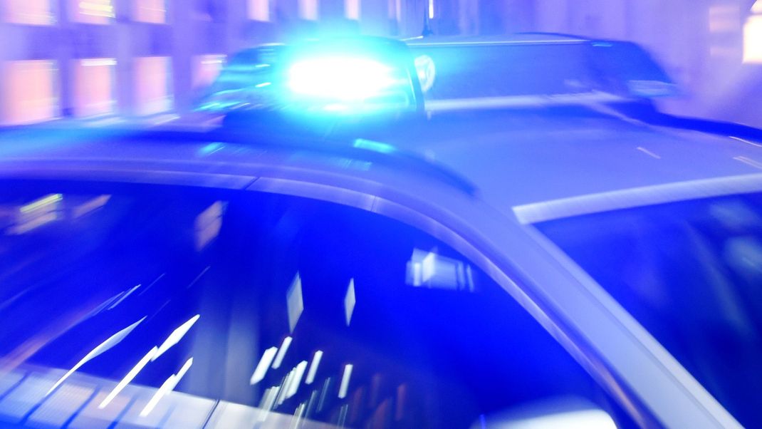 Tragischer Unfall nahe Mainz: Nach Böller-Explosionen lief eine Dogge panisch auf die A9 und wurde von einem Auto erfasst und getötet. (Symbolbild)