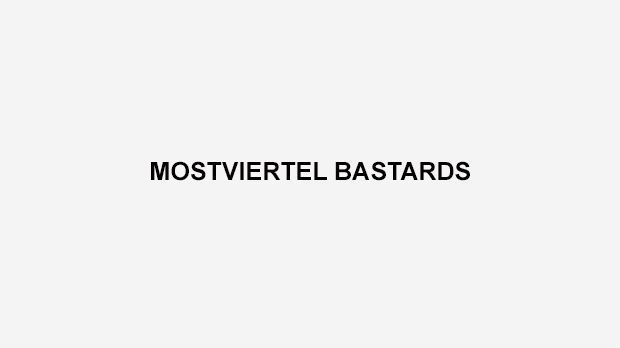 
                <strong>Mostviertel Bastards</strong><br>
                Die Bastards sind erst seit 2014 Teil des American Football Verbands Österreich. Der Verein stammt aus dem niederösterreichischen Mostviertel.
              