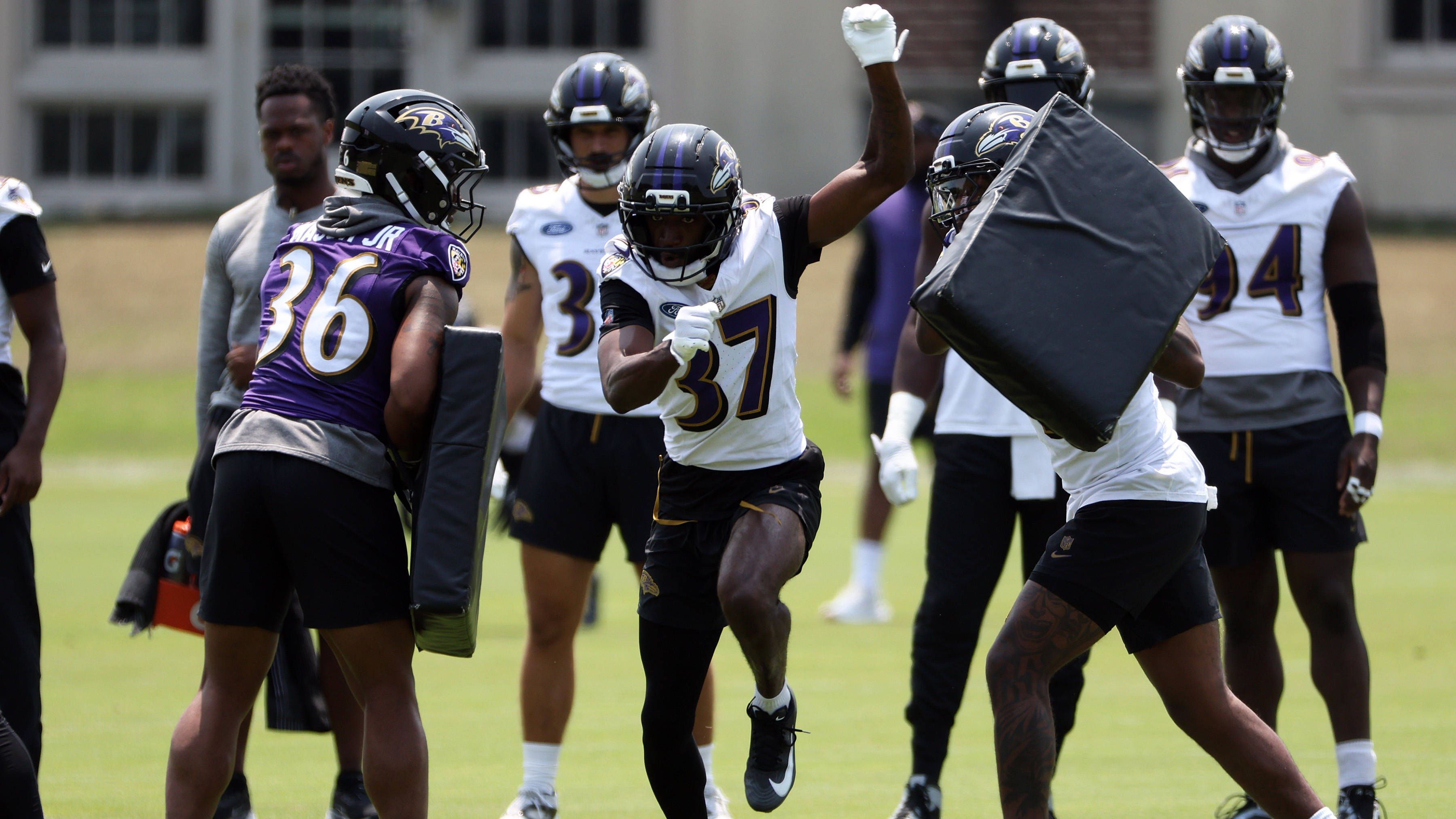 <strong>Baltimore Ravens (9 Prozent)</strong>