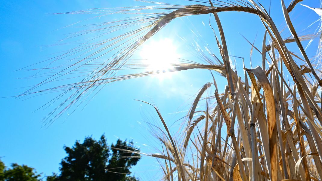 Deutschland droht nach kurzer Verschnaufpause eine Hitzewelle 