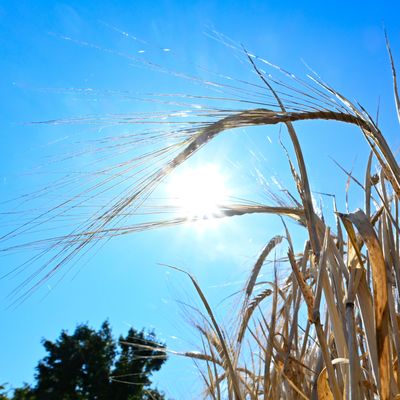 Deutschland droht nach kurzer Verschnaufpause eine Hitzewelle 