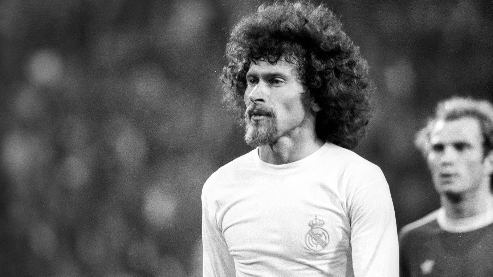 
                <strong>Paul Breitner</strong><br>
                Drei Millionen Mark überwies Real 1974 an den FC Bayern für Breitners Dienste. In Spanien wurde der Weltmeister von 1974 vom Verteidiger zum Mittelfeldspieler umgeschult. 1977 zog Breitner weiter zu Eintracht Braunschweig. 
              