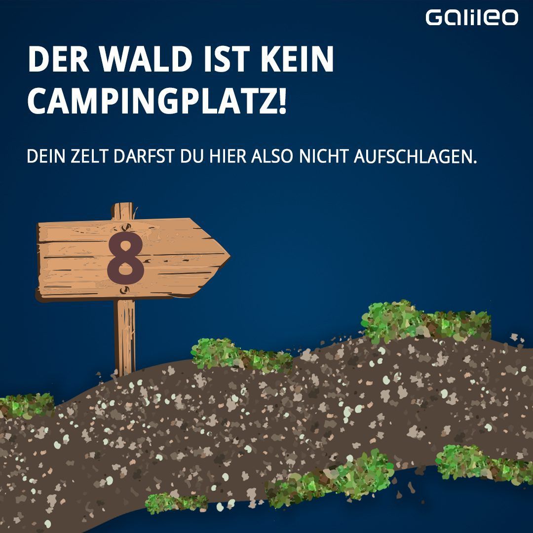 Im Wald solle nicht gecampt werden. Zelte sollten hier nicht aufgeschlagen werden.