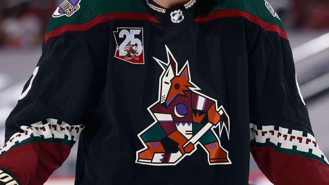 Arizona coyotes fan shop clearance